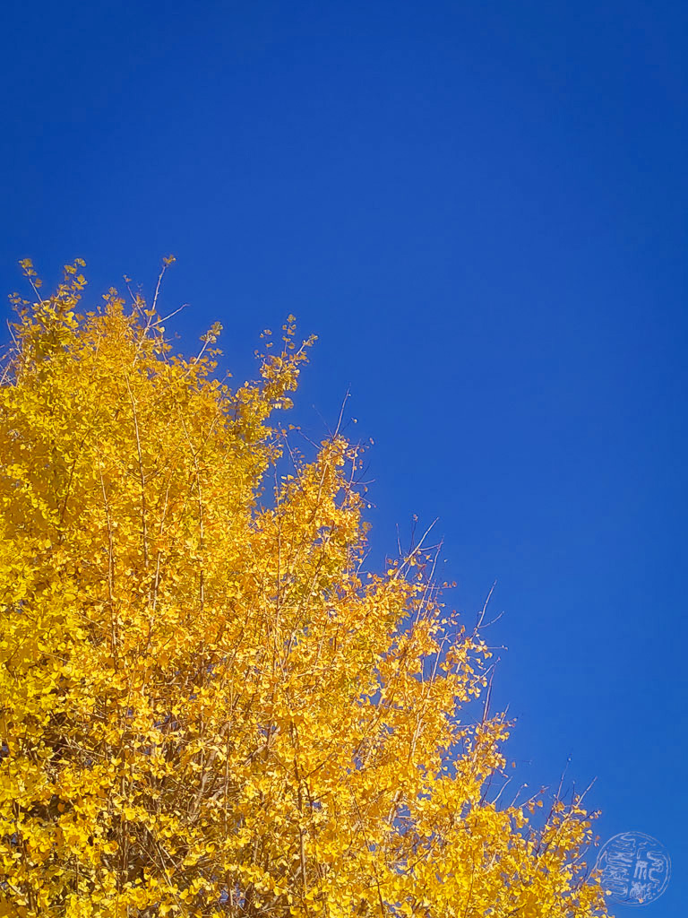 なんて素敵なんだ - 黄色と青