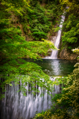水と水の問題
