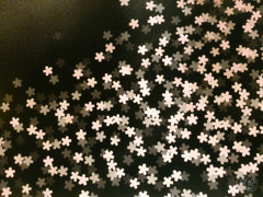 東京の見事な壁面