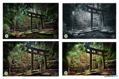奥の院墓地 - どのバージョンの写真が一番お好みですか？