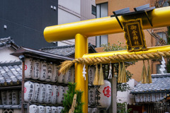 見事な黄金の鳥居