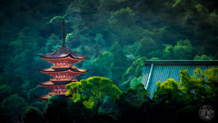 厳島