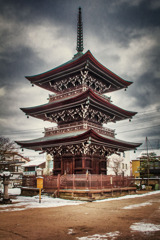 冬の始まりにそれを見る喜び