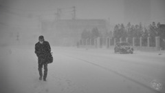 厳しくも刺激的な冬の日