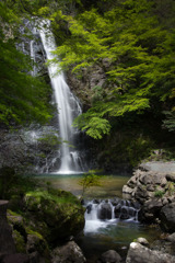 美しい滝