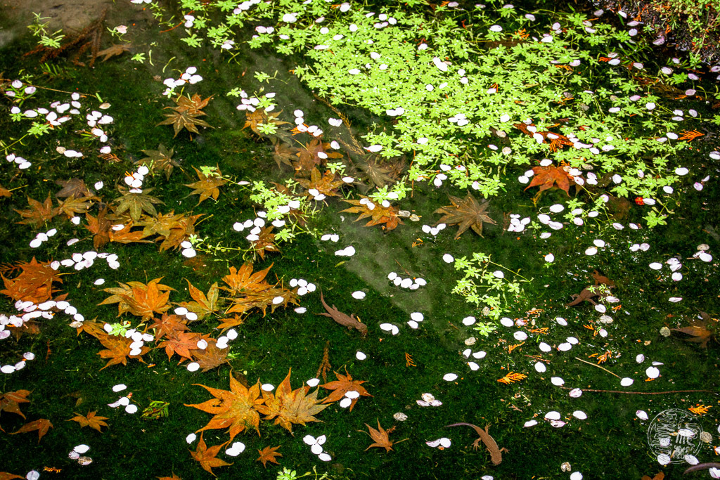 すべての季節と住民を見る