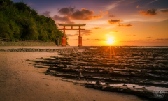 神社でのおはようございます