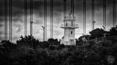 ライトタワー氏とその友人の橋