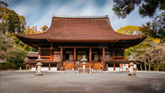 素晴らしい寺院を少し垣間見る