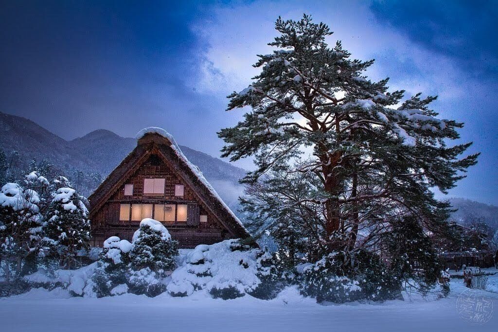 冬は最高