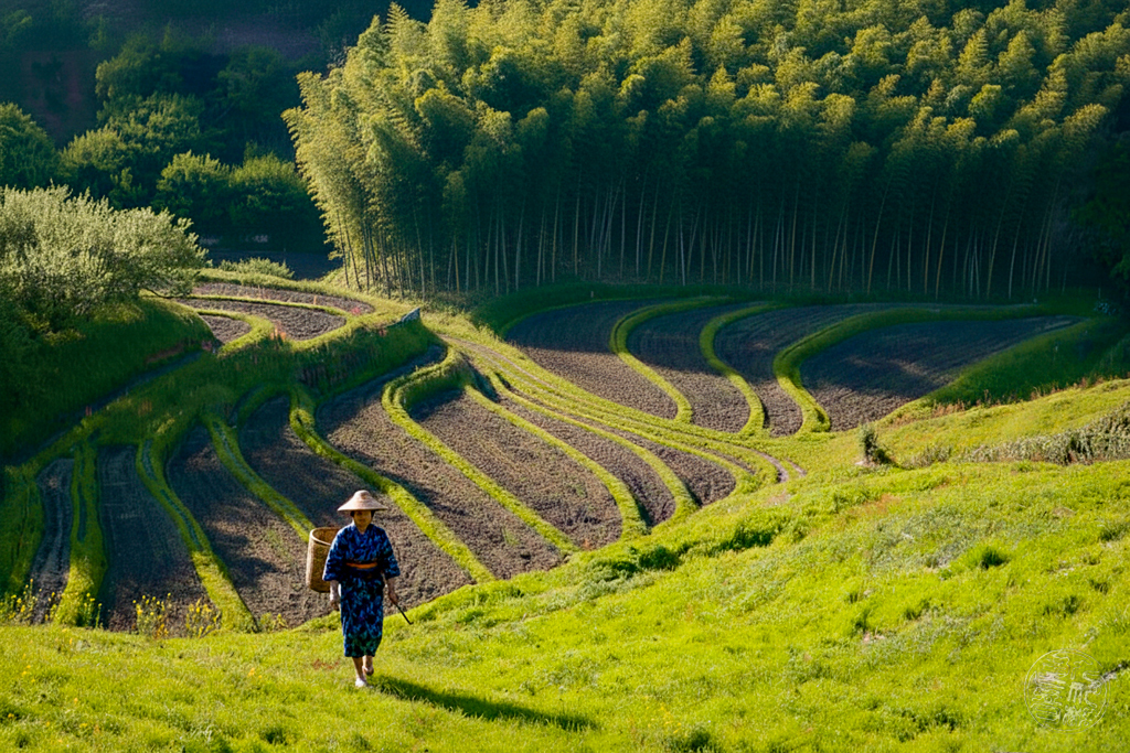 米 トレジャー 場所