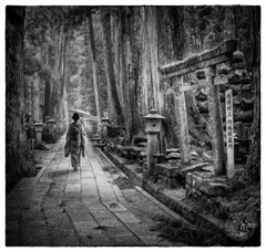 私の写真と私のアート