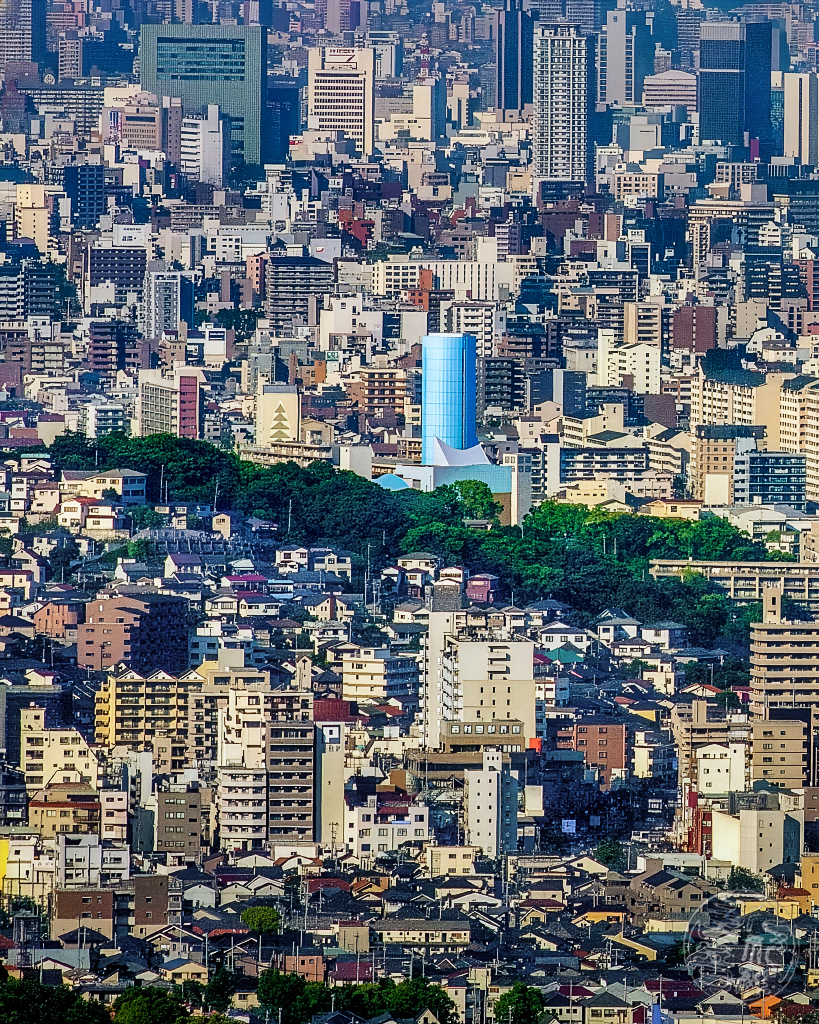 他の色とは異なる青い建物