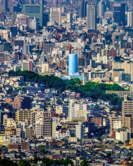 他の色とは異なる青い建物