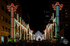 素晴らしい光の道