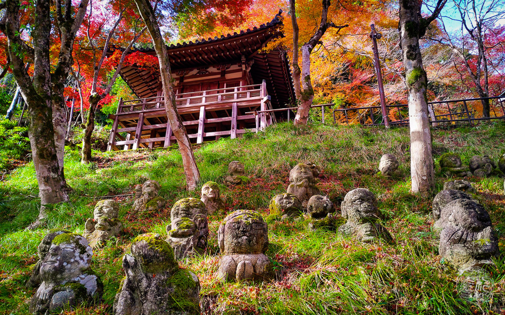 たくさんの友達