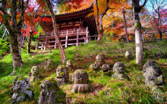 たくさんの友達