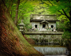 単一の神聖な建物