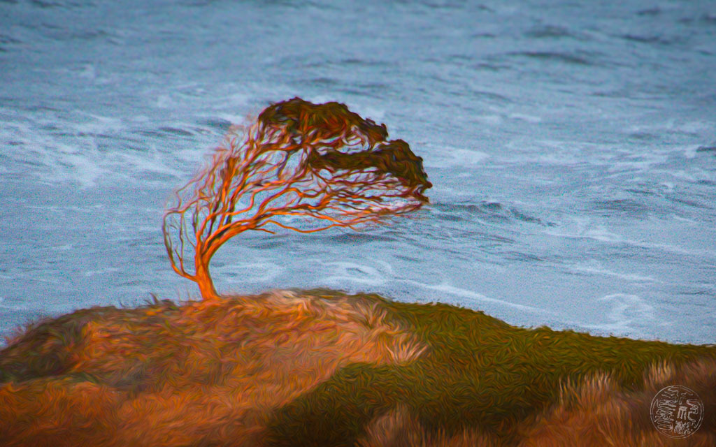 風は私を育てた