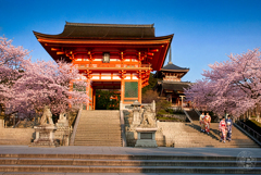 魔法のような瞬間