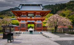 とてもエキサイティングな旅