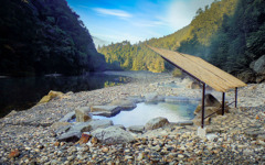 自然を満喫するナチュラル弁当