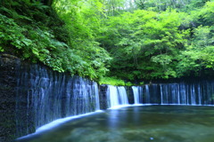 清涼感