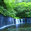 清涼感