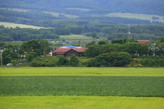 田園に暮らす