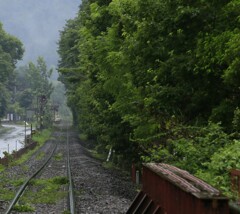 大雨の旅路