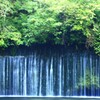 ベールの裏側の緑