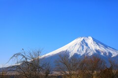 聳える富士を背に