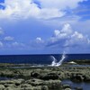 飛沫浴びたい