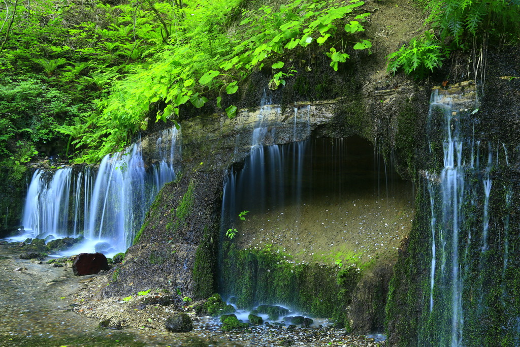 岩から染み出る清流