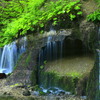 岩から染み出る清流