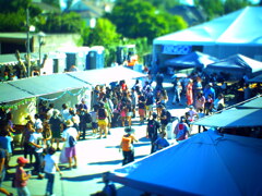 PICT0011