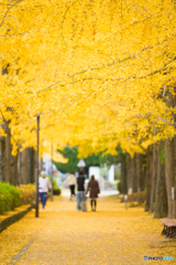 街にも秋が来た