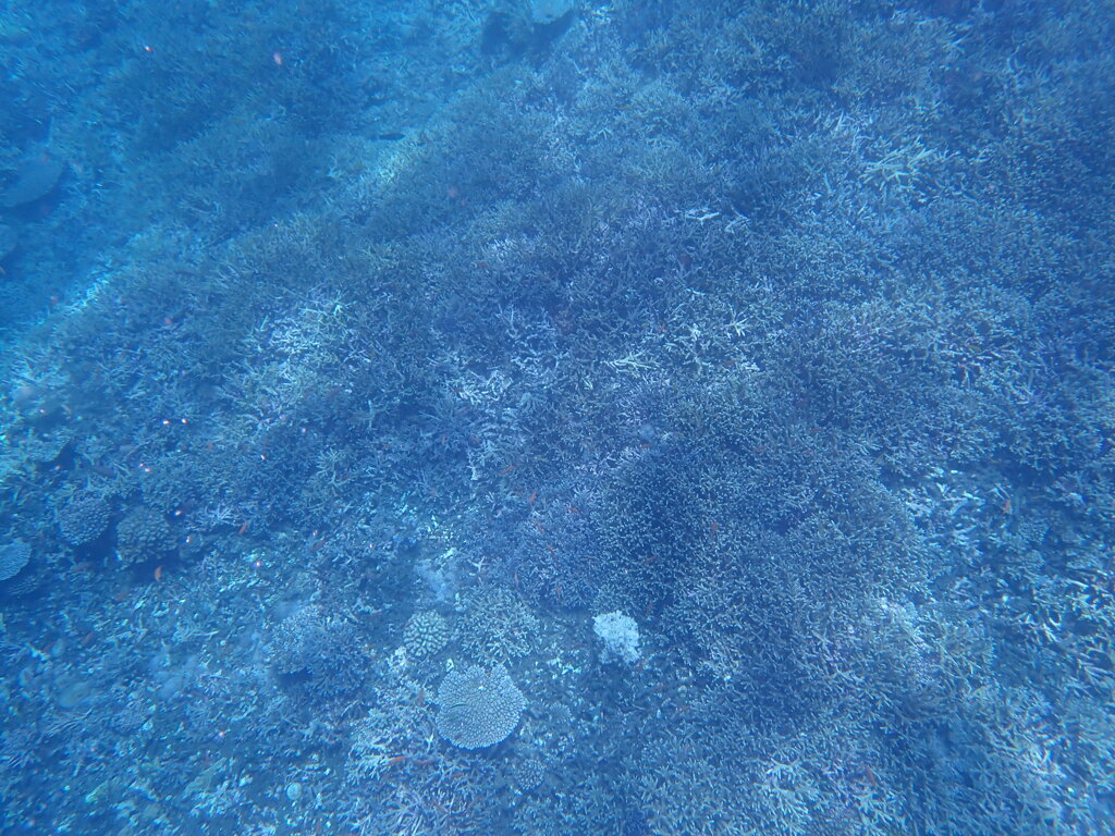 P7130014