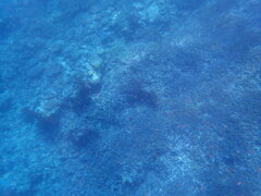 P7130012
