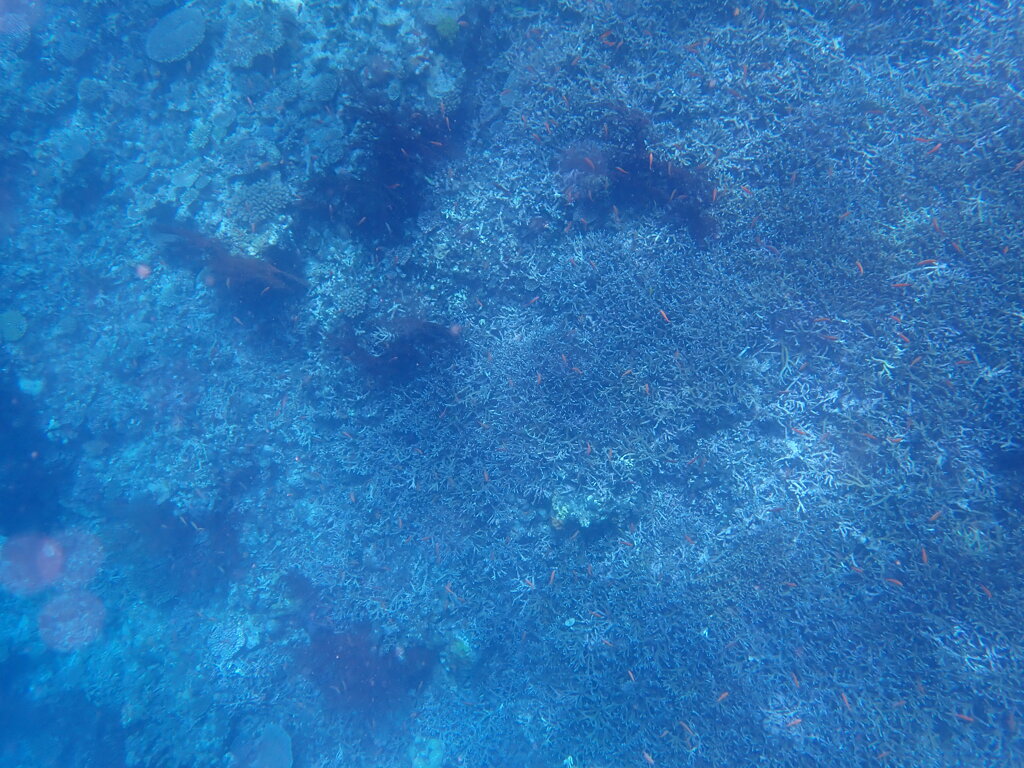 P7130013