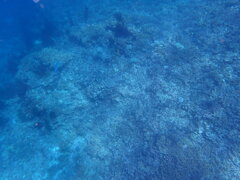 P7130017