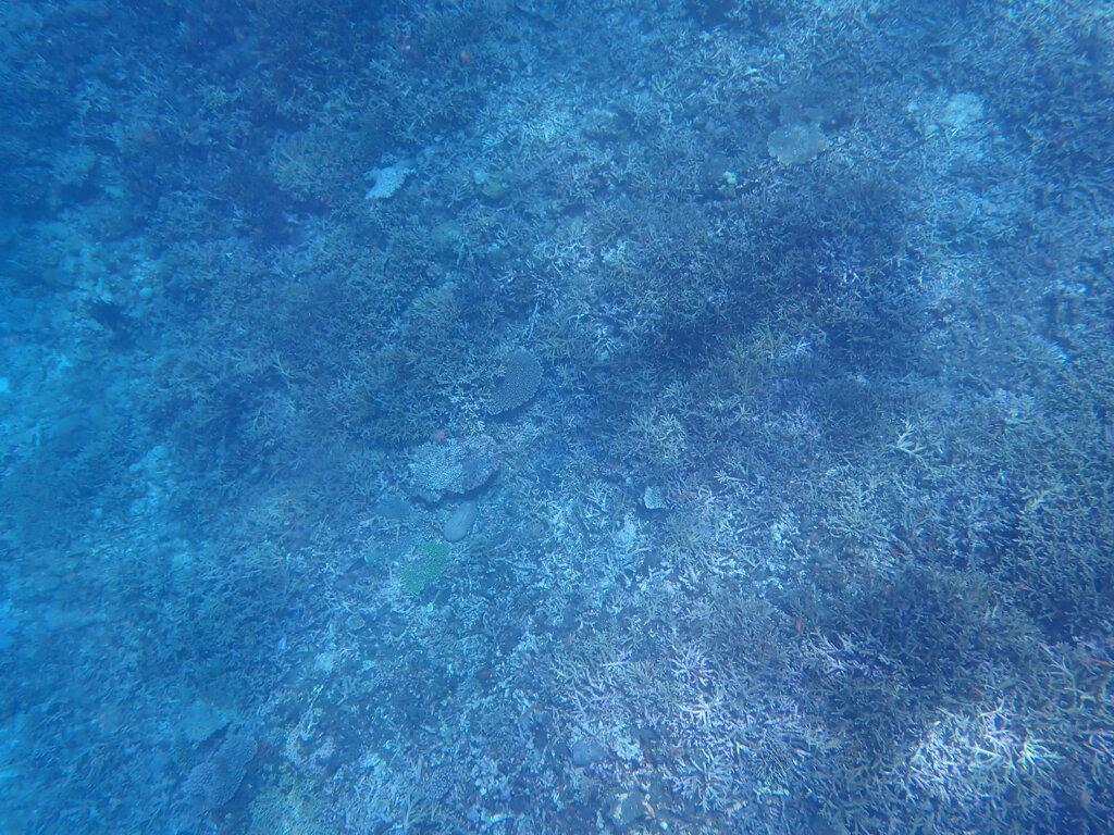 P7130016