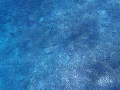 P7130016