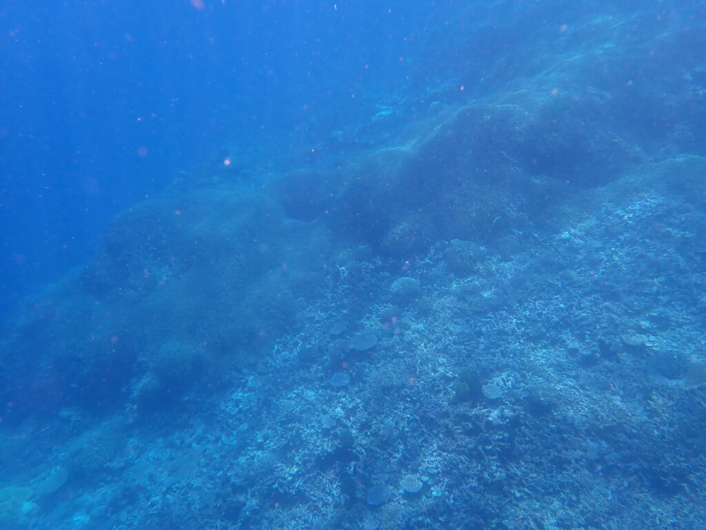 P7130019