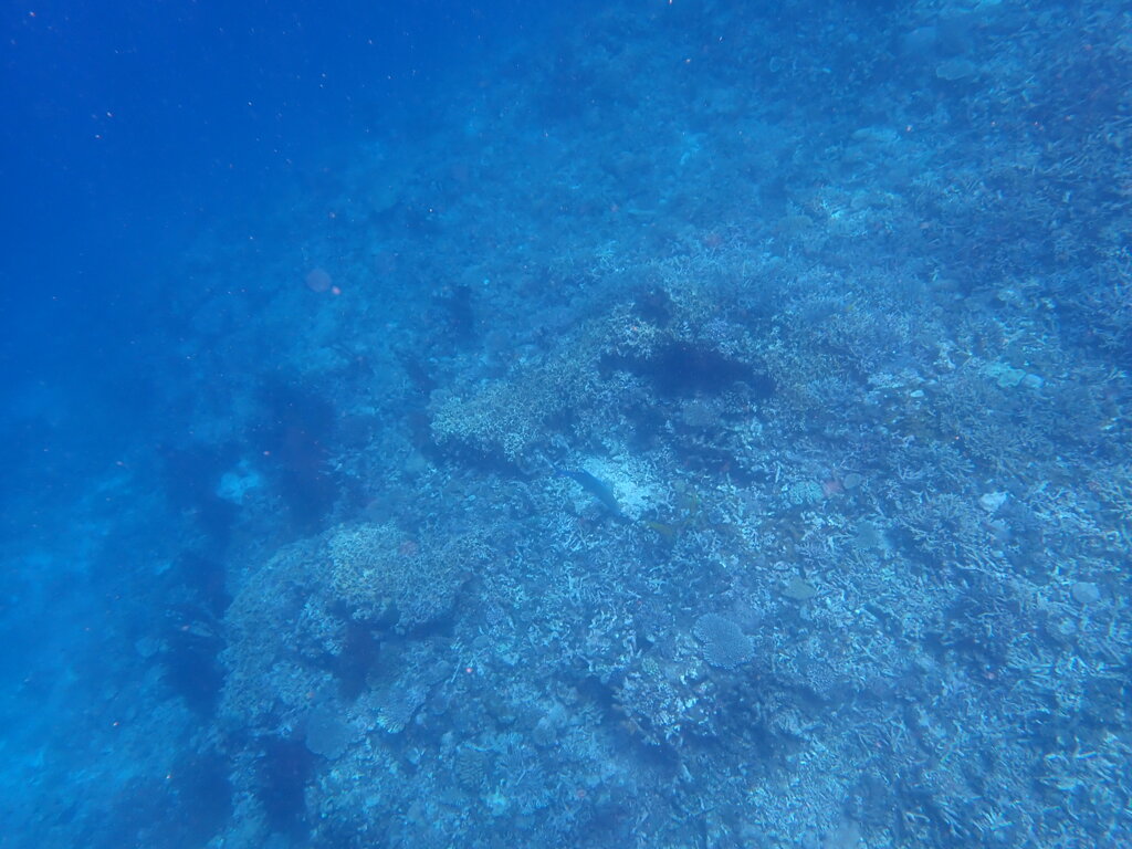 P7130018