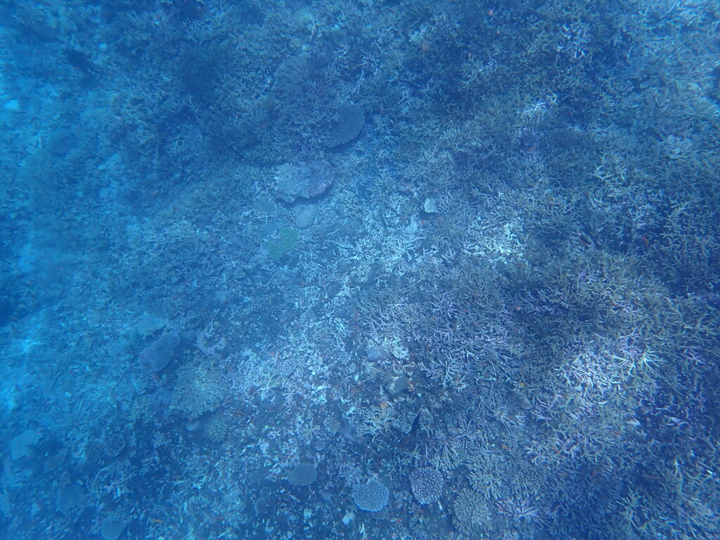P7130015
