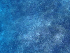 P7130015