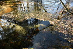 上高地 梓川右岸道