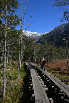 上高地 岳沢湿原