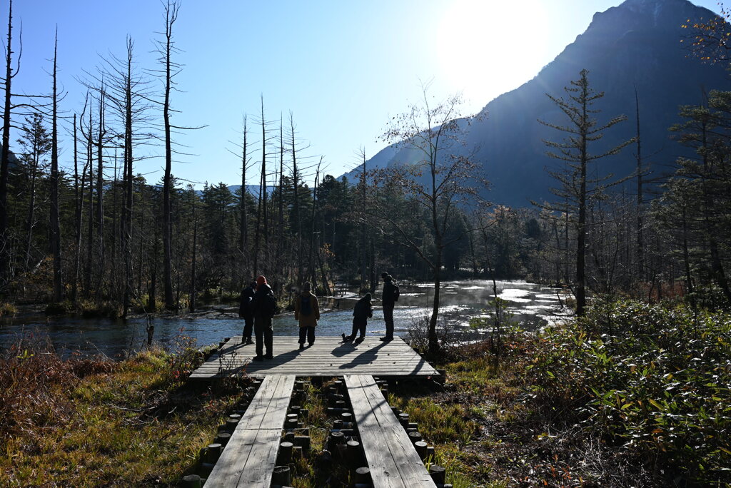 上高地 岳沢湿原